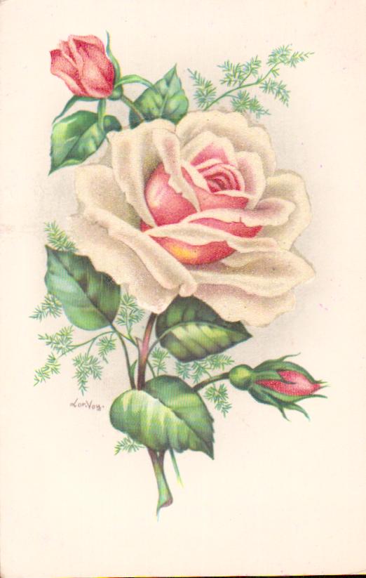 Cartes postales anciennes > CARTES POSTALES > carte postale ancienne > cartes-postales-ancienne.com Fleurs