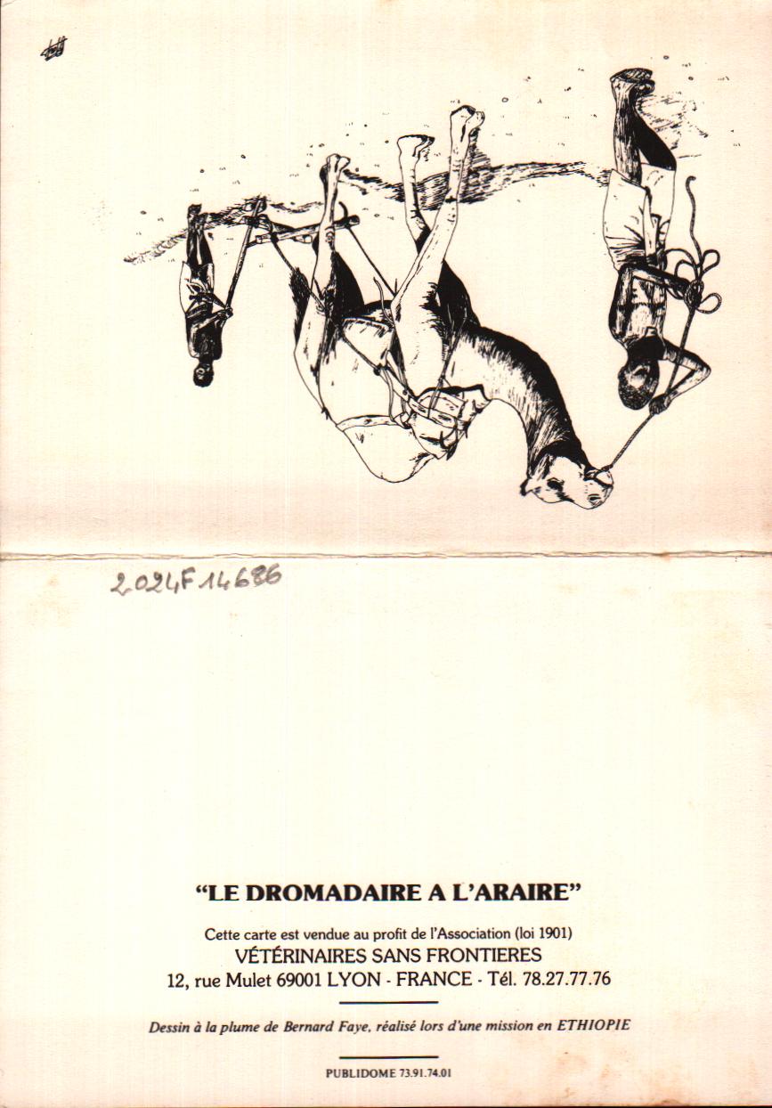 Cartes postales anciennes > CARTES POSTALES > carte postale ancienne > cartes-postales-ancienne.com Hommes