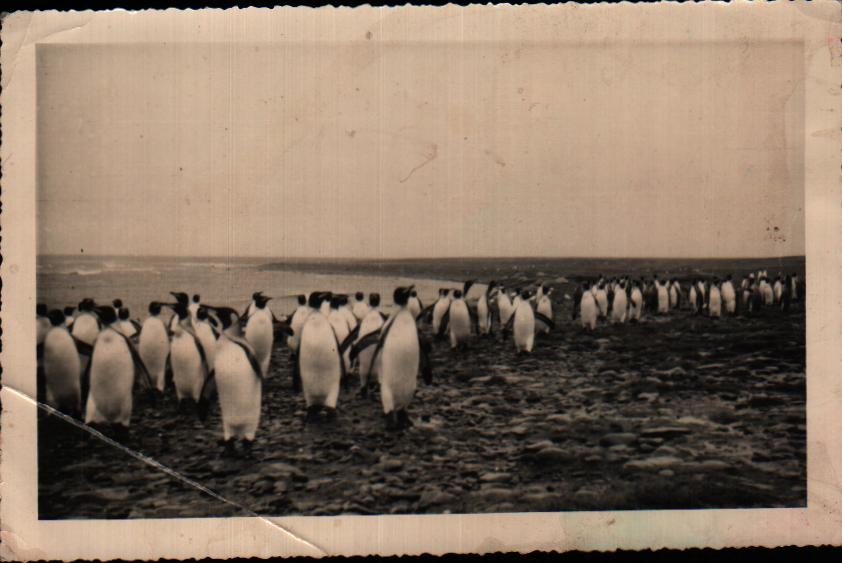 Cartes postales anciennes > CARTES POSTALES > carte postale ancienne > cartes-postales-ancienne.com Documentation imges scolaire