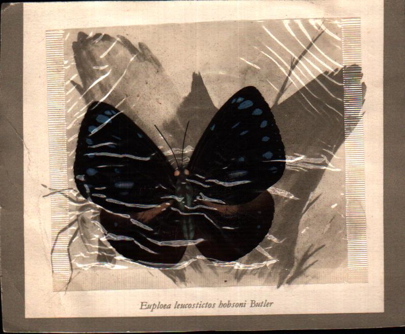 Cartes postales anciennes > CARTES POSTALES > carte postale ancienne > cartes-postales-ancienne.com Documentation imges scolaire