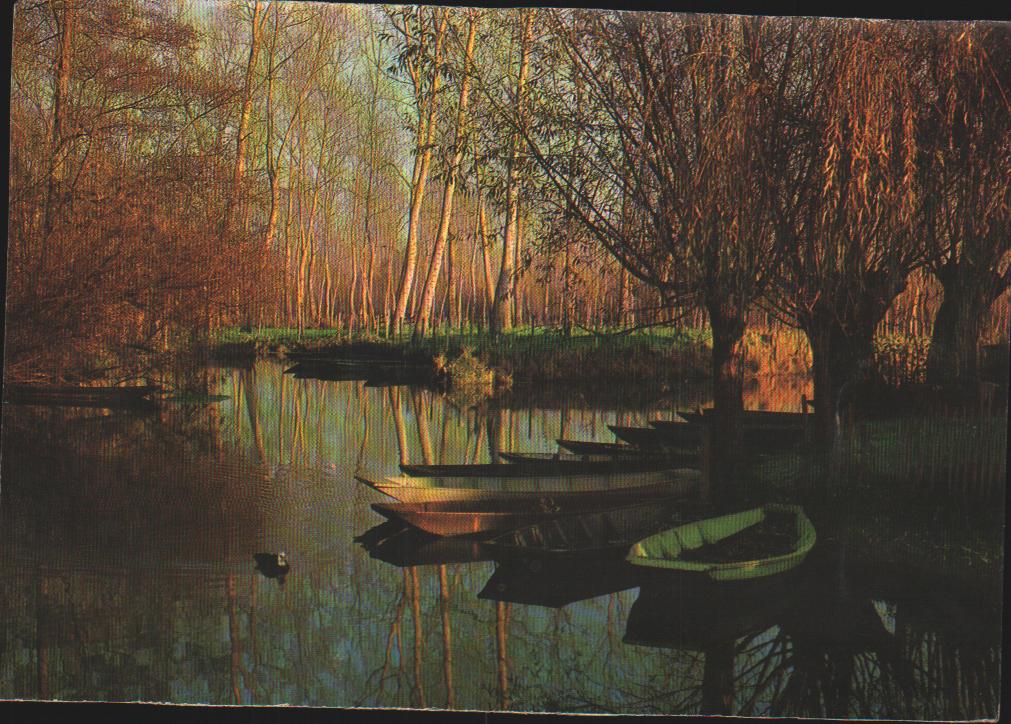 Cartes postales anciennes > CARTES POSTALES > carte postale ancienne > cartes-postales-ancienne.com Deux sevres  Niort