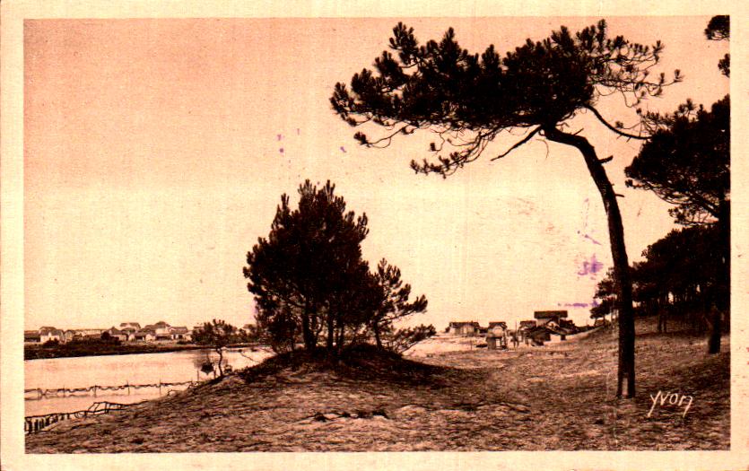 Cartes postales anciennes > CARTES POSTALES > carte postale ancienne > cartes-postales-ancienne.com Nouvelle aquitaine Mimizan