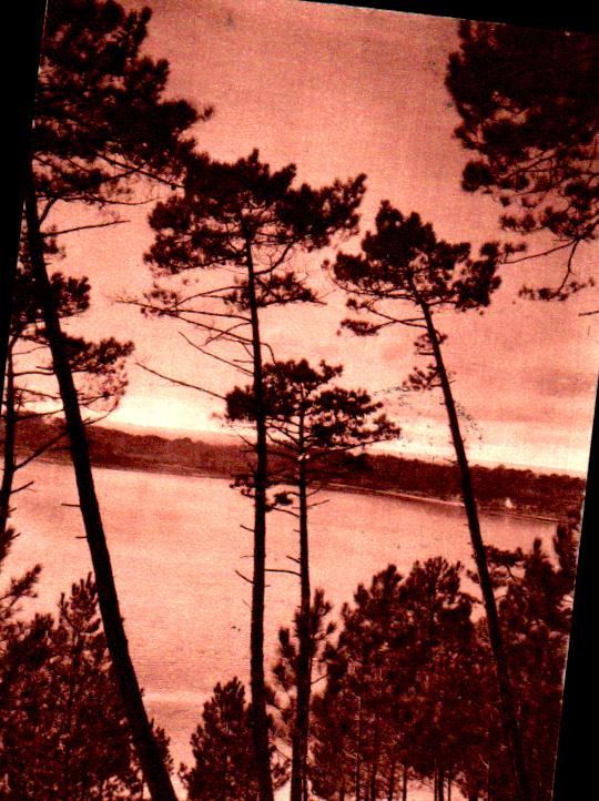 Cartes postales anciennes > CARTES POSTALES > carte postale ancienne > cartes-postales-ancienne.com Nouvelle aquitaine Soorts Hossegor