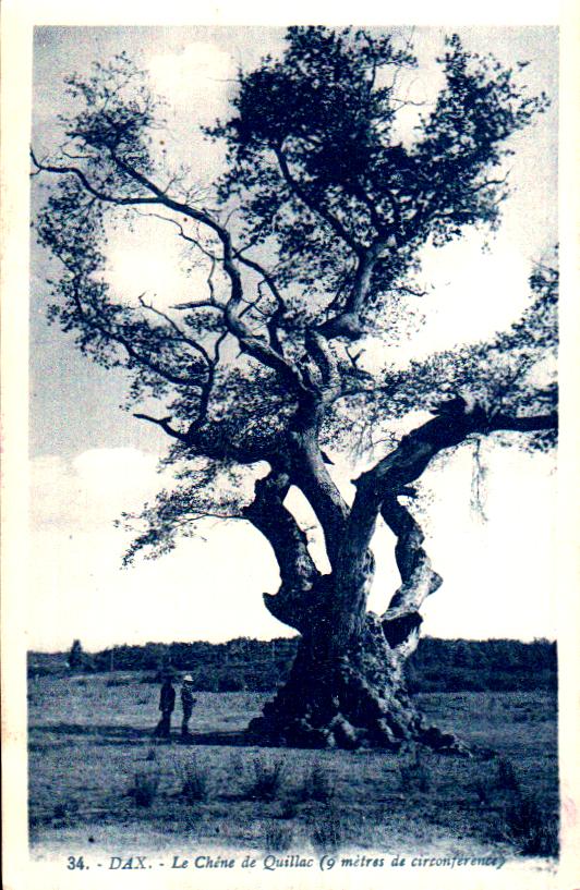 Cartes postales anciennes > CARTES POSTALES > carte postale ancienne > cartes-postales-ancienne.com Nouvelle aquitaine Dax