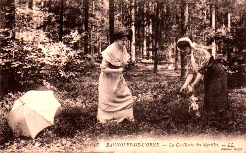 Normandie Orne Tesse La Madeleine