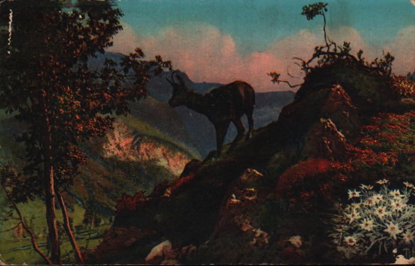 Cartes postales anciennes > CARTES POSTALES > carte postale ancienne > cartes-postales-ancienne.com Hautes pyrenees  Gedre