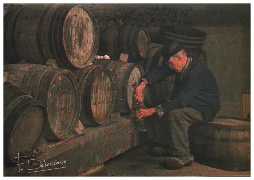 Auvergne rhone alpes Allier Domerat