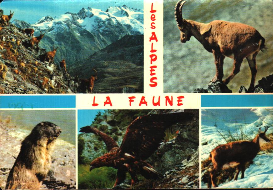 Cartes postales anciennes > CARTES POSTALES > carte postale ancienne > cartes-postales-ancienne.com Provence alpes cote d'azur Hautes alpes Abries