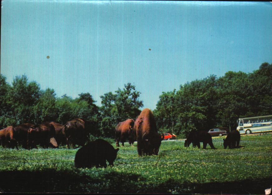 Cartes postales anciennes > CARTES POSTALES > carte postale ancienne > cartes-postales-ancienne.com Auvergne rhone alpes Ardeche Peaugres