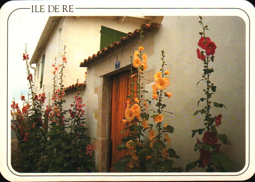 Cartes postales anciennes > CARTES POSTALES > carte postale ancienne > cartes-postales-ancienne.com Nouvelle aquitaine La Rochelle