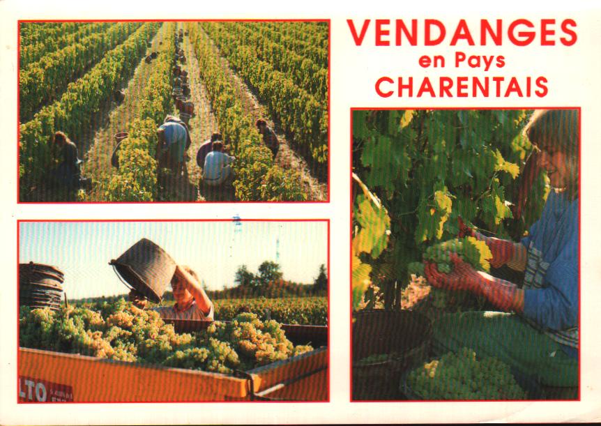 Cartes postales anciennes > CARTES POSTALES > carte postale ancienne > cartes-postales-ancienne.com Nouvelle aquitaine Meschers Sur Gironde