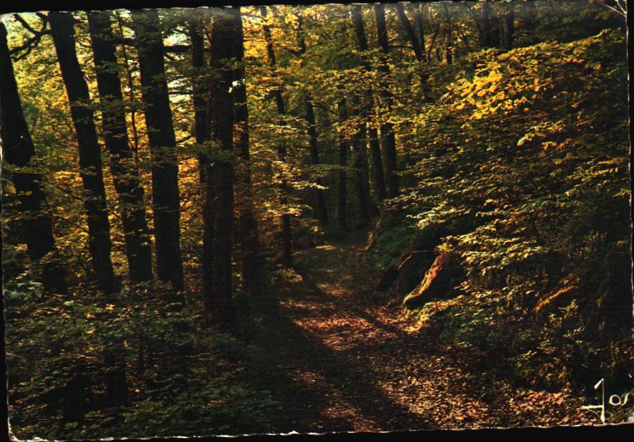 Cartes postales anciennes > CARTES POSTALES > carte postale ancienne > cartes-postales-ancienne.com Bretagne Finistere Huelgoat