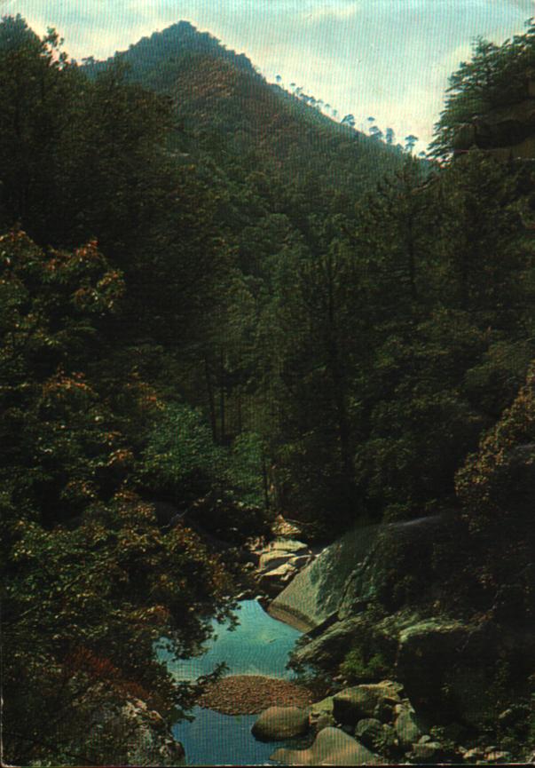Cartes postales anciennes > CARTES POSTALES > carte postale ancienne > cartes-postales-ancienne.com Corse  Corse du sud 2a