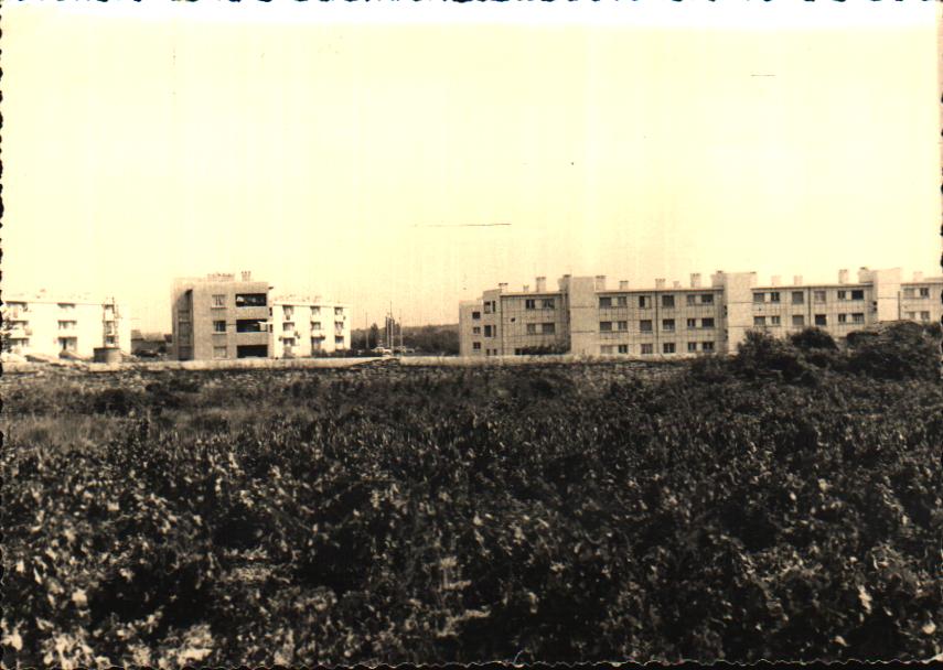 Gard Laudun