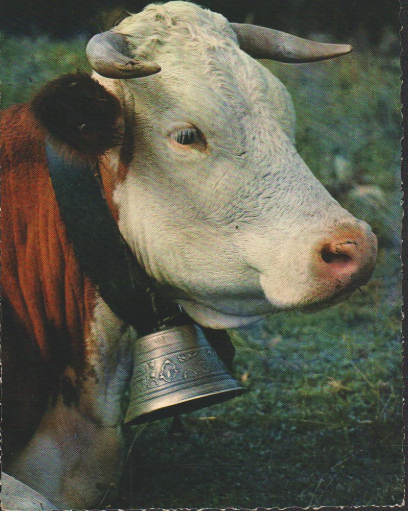 Cartes postales anciennes > CARTES POSTALES > carte postale ancienne > cartes-postales-ancienne.com Auvergne rhone alpes Puy de dome Clermont Ferrand