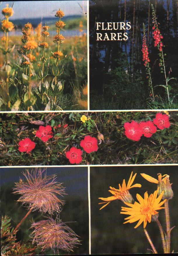 Cartes postales anciennes > CARTES POSTALES > carte postale ancienne > cartes-postales-ancienne.com Auvergne rhone alpes Puy de dome Saint Nectaire
