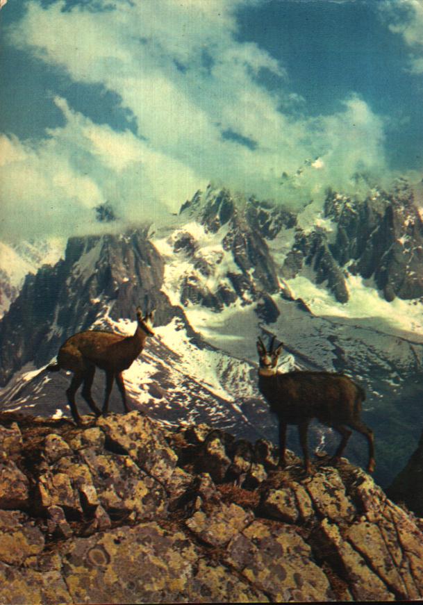 Cartes postales anciennes > CARTES POSTALES > carte postale ancienne > cartes-postales-ancienne.com Auvergne rhone alpes Savoie Orelle