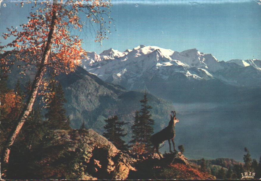Cartes postales anciennes > CARTES POSTALES > carte postale ancienne > cartes-postales-ancienne.com Auvergne rhone alpes Morzine