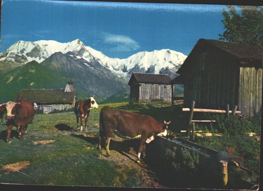 Cartes postales anciennes > CARTES POSTALES > carte postale ancienne > cartes-postales-ancienne.com Auvergne rhone alpes Chamonix Mont Blanc
