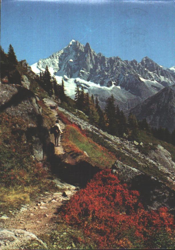 Cartes postales anciennes > CARTES POSTALES > carte postale ancienne > cartes-postales-ancienne.com Auvergne rhone alpes Chamonix Mont Blanc