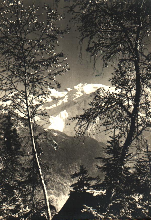 Cartes postales anciennes > CARTES POSTALES > carte postale ancienne > cartes-postales-ancienne.com Auvergne rhone alpes Chamonix Mont Blanc