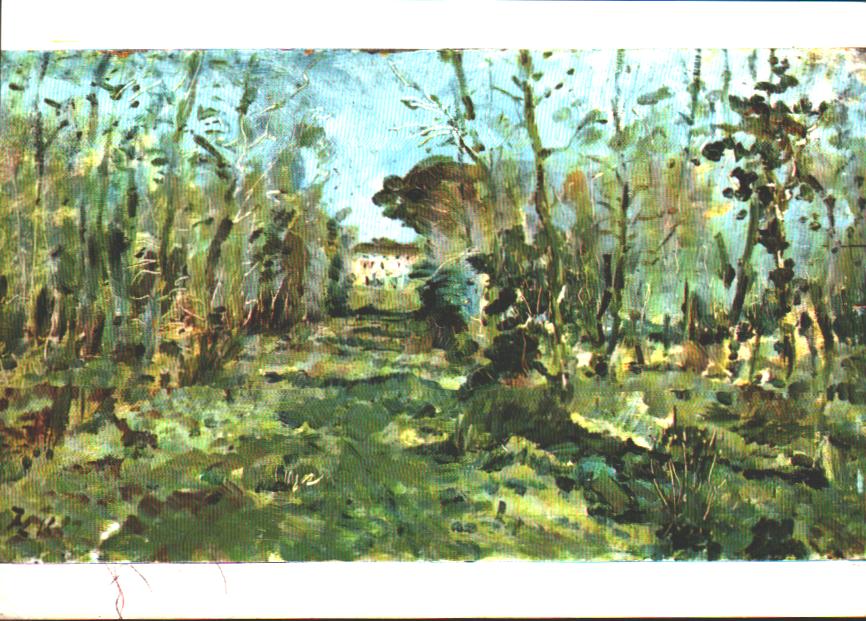 Cartes postales anciennes > CARTES POSTALES > carte postale ancienne > cartes-postales-ancienne.com Occitanie Tarn Albi