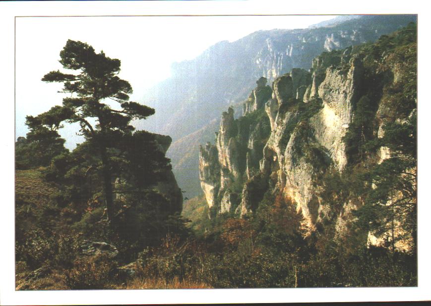 Cartes postales anciennes > CARTES POSTALES > carte postale ancienne > cartes-postales-ancienne.com Occitanie Albi