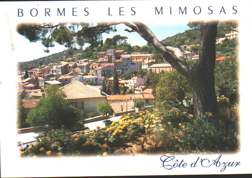 Cartes postales anciennes > CARTES POSTALES > carte postale ancienne > cartes-postales-ancienne.com Provence alpes cote d'azur Bormes Les Mimosas