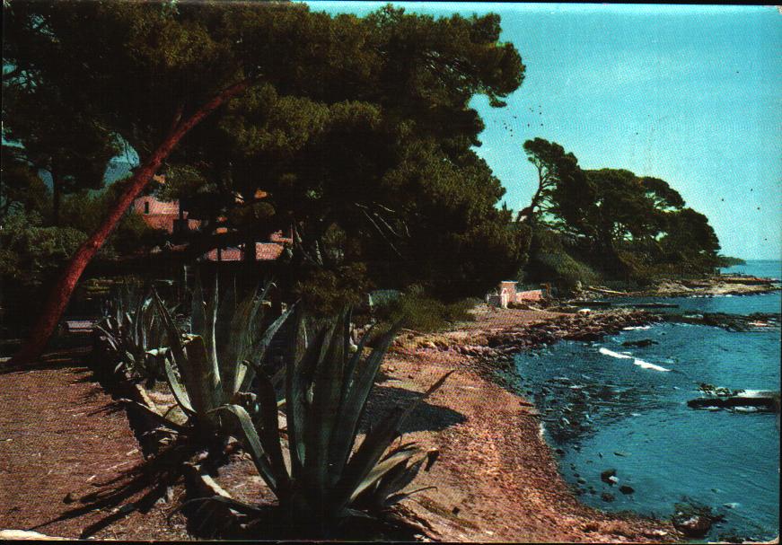 Cartes postales anciennes > CARTES POSTALES > carte postale ancienne > cartes-postales-ancienne.com Provence alpes cote d'azur Saint Tropez