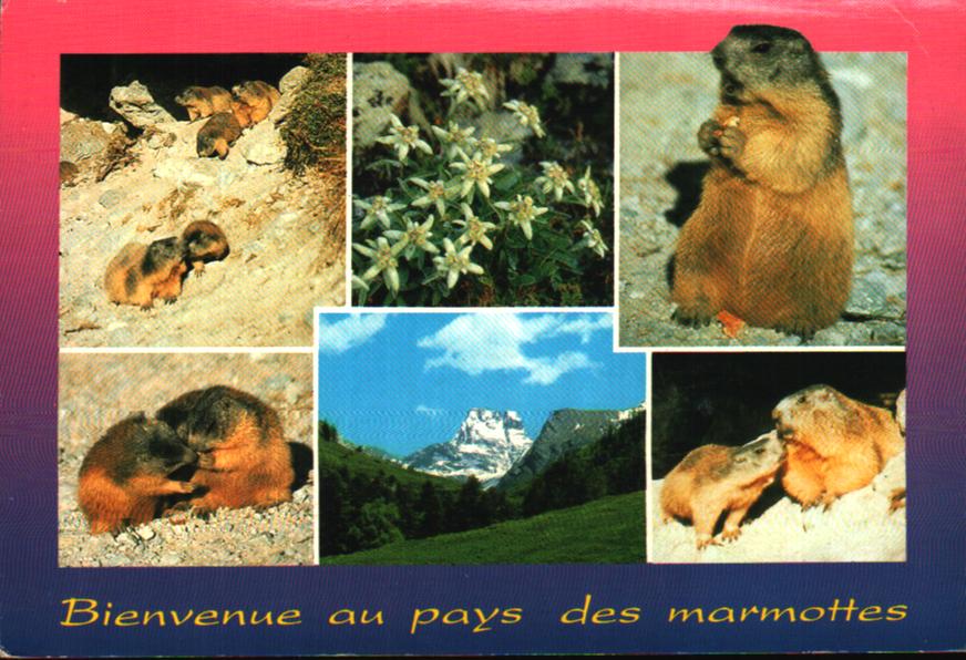 Cartes postales anciennes > CARTES POSTALES > carte postale ancienne > cartes-postales-ancienne.com Provence alpes cote d'azur Six Fours Les Plages