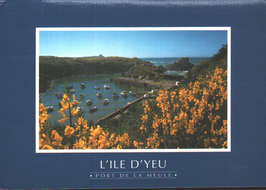 Cartes postales anciennes > CARTES POSTALES > carte postale ancienne > cartes-postales-ancienne.com Pays de la loire Vendee l'Ile d'Yeu