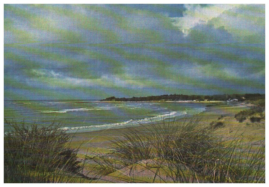Pays de la loire Saint Vincent Sur Jard