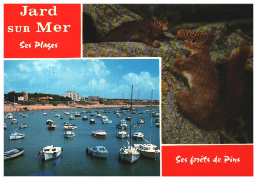 Pays de la loire Jard Sur Mer