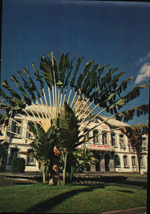 Cartes postales anciennes > CARTES POSTALES > carte postale ancienne > cartes-postales-ancienne.com Antilles francaises
