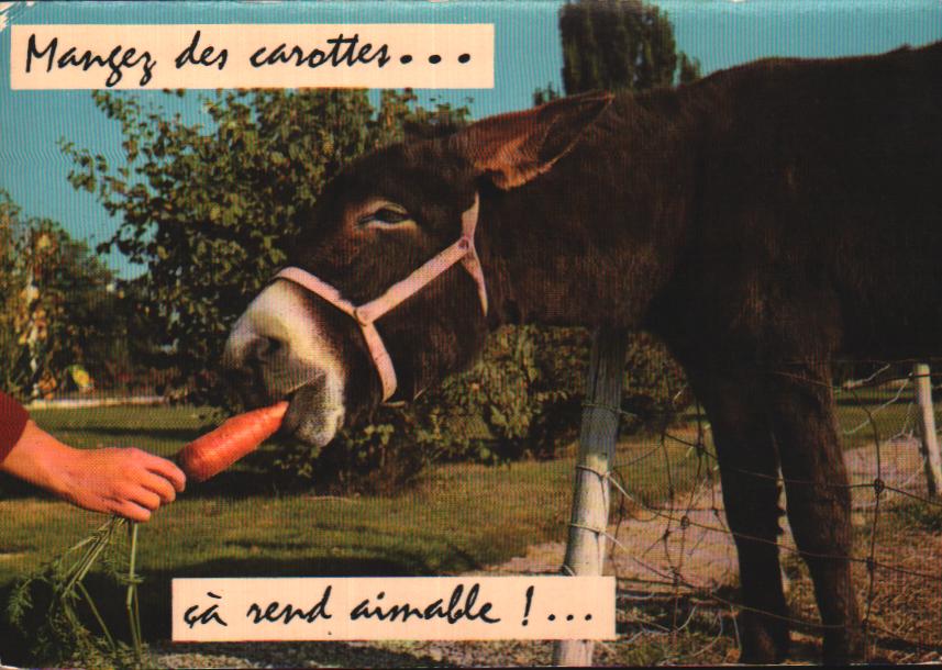 Cartes postales anciennes > CARTES POSTALES > carte postale ancienne > cartes-postales-ancienne.com Illustrateur Animaux