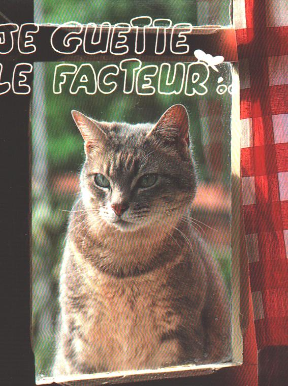Cartes postales anciennes > CARTES POSTALES > carte postale ancienne > cartes-postales-ancienne.com Animaux