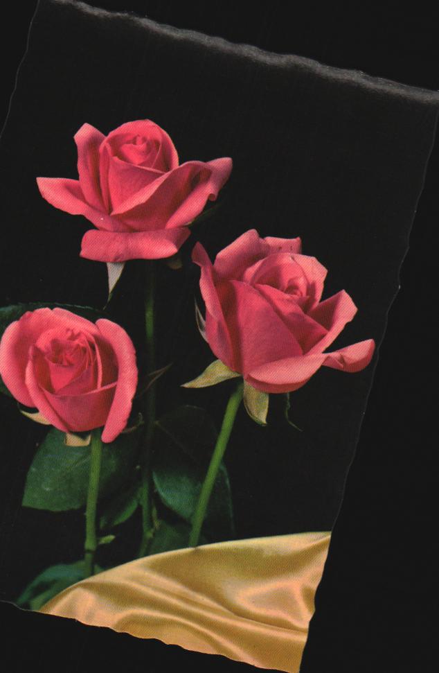 Cartes postales anciennes > CARTES POSTALES > carte postale ancienne > cartes-postales-ancienne.com Fleurs avec vase