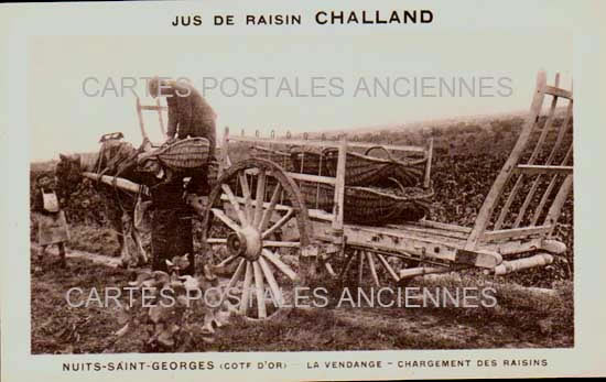 Cartes postales anciennes > CARTES POSTALES > carte postale ancienne > cartes-postales-ancienne.com Bourgogne franche comte Nuits Saint Georges