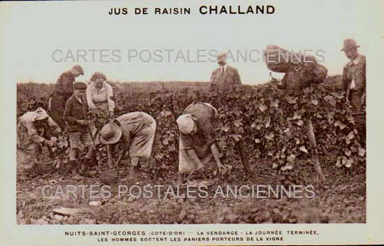 Cartes postales anciennes > CARTES POSTALES > carte postale ancienne > cartes-postales-ancienne.com Bourgogne franche comte Nuits Saint Georges