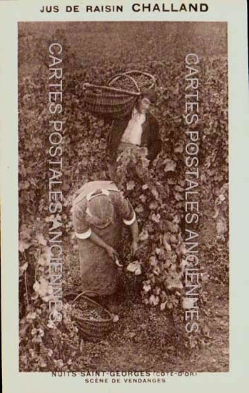 Cartes postales anciennes > CARTES POSTALES > carte postale ancienne > cartes-postales-ancienne.com Bourgogne franche comte Nuits Saint Georges