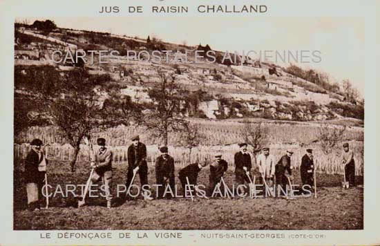 Cartes postales anciennes > CARTES POSTALES > carte postale ancienne > cartes-postales-ancienne.com Bourgogne franche comte Nuits Saint Georges