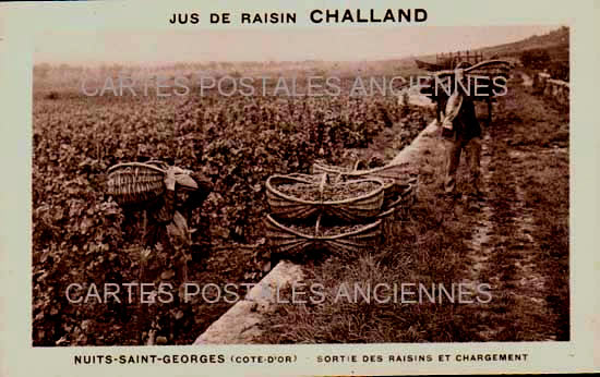 Cartes postales anciennes > CARTES POSTALES > carte postale ancienne > cartes-postales-ancienne.com Bourgogne franche comte Nuits Saint Georges