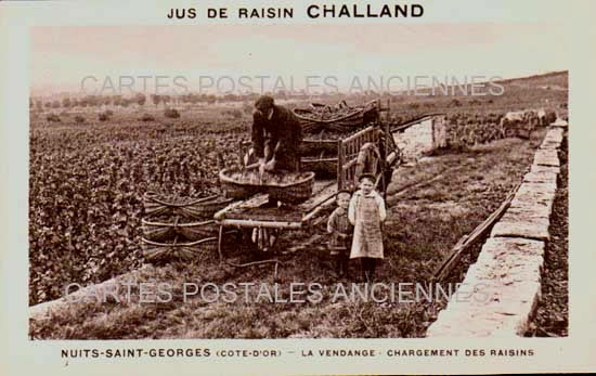 Cartes postales anciennes > CARTES POSTALES > carte postale ancienne > cartes-postales-ancienne.com Bourgogne franche comte Nuits Saint Georges