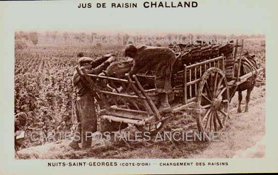 Cartes postales anciennes > CARTES POSTALES > carte postale ancienne > cartes-postales-ancienne.com Bourgogne franche comte Nuits Saint Georges