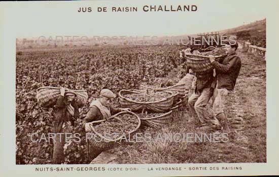 Cartes postales anciennes > CARTES POSTALES > carte postale ancienne > cartes-postales-ancienne.com Bourgogne franche comte Nuits Saint Georges
