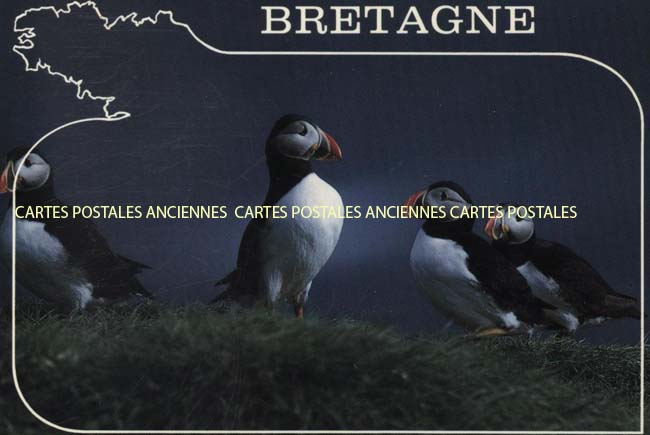 Cartes postales anciennes > CARTES POSTALES > carte postale ancienne > cartes-postales-ancienne.com Bretagne Treguier