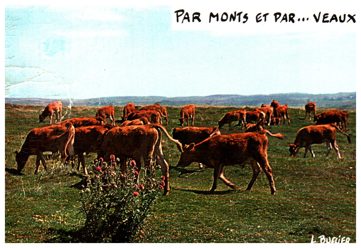 Cartes postales anciennes > CARTES POSTALES > carte postale ancienne > cartes-postales-ancienne.com Bretagne Loudeac