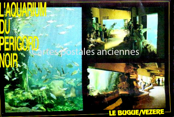 Cartes postales anciennes > CARTES POSTALES > carte postale ancienne > cartes-postales-ancienne.com Nouvelle aquitaine Dordogne Le Bugue