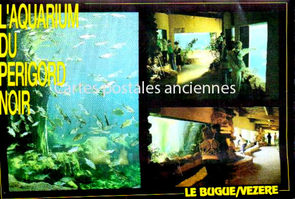 Cartes postales anciennes > CARTES POSTALES > carte postale ancienne > cartes-postales-ancienne.com Nouvelle aquitaine Le Bugue