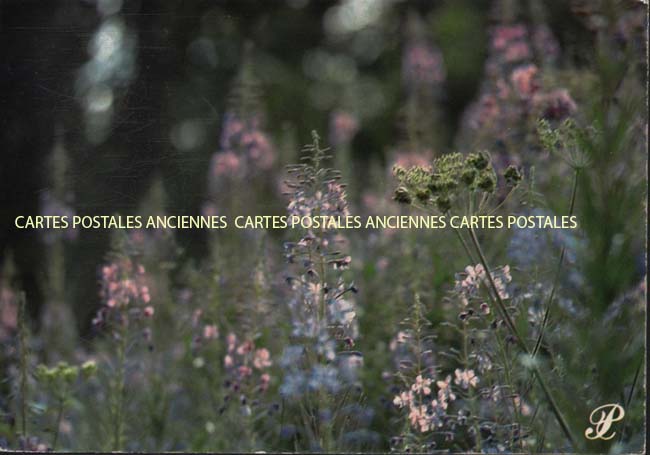 Cartes postales anciennes > CARTES POSTALES > carte postale ancienne > cartes-postales-ancienne.com Bourgogne franche comte Doubs Audincourt